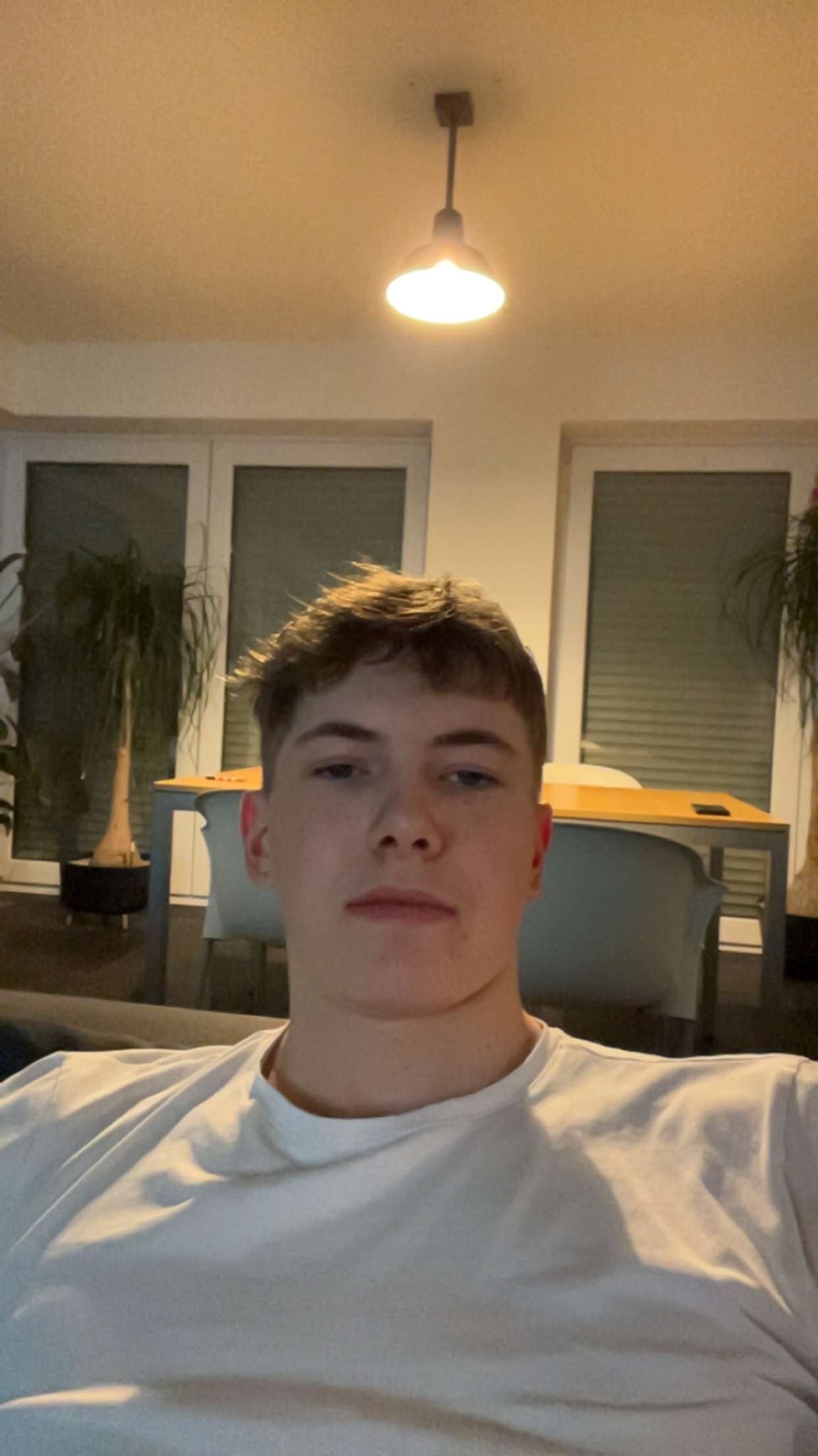 files/Finn3.jpg